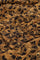 Daria Dress | Toffee/Black