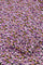 Billy Top | Cookie Caramel/Grape