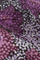 Jane Top | Grape/Rioja